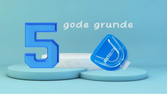 5 GODE GRUNDE TIL AT BRUGE EN BIDESKINNE